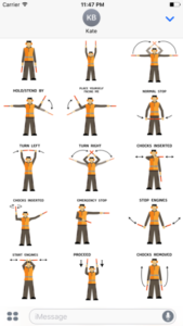 Image result for marshalling signals
